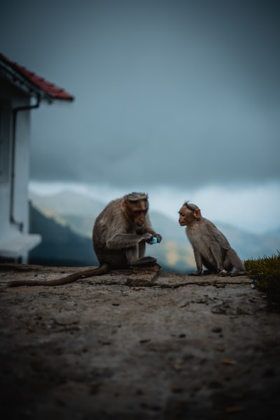 图聚科技
